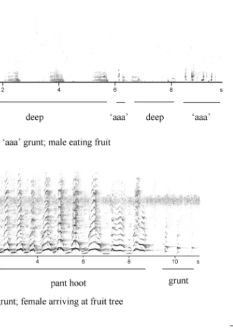 Figure 1. Spectrograms of call and drum combinations, shown in Table 8. Vertical axes (Hz); Horizontal axes (sec).