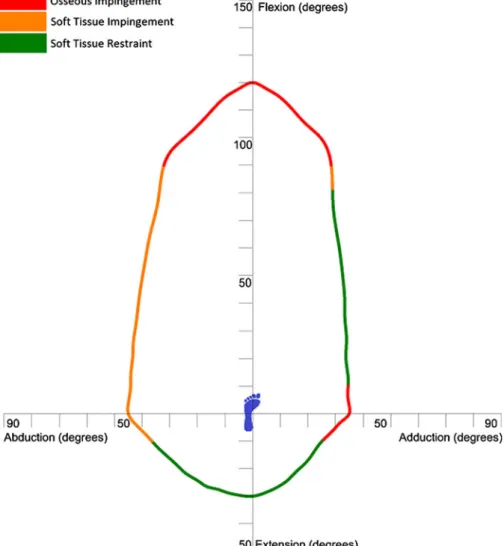 Fig. 6 Illustration of range of motion benchmark with impingement zones