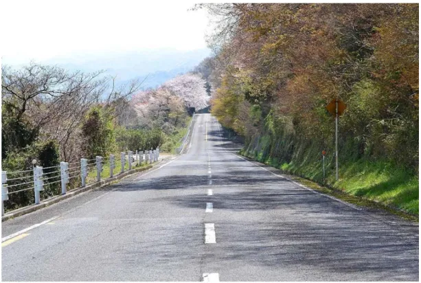 Figure 1.1. Example of a descending slope that appears to be an ascending slope.  
