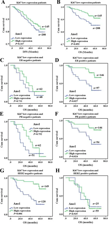 Figure 4: Kaplan-Meier survival analysis of Ano1 expression in breast cancer patients with the low expression of Ki67.