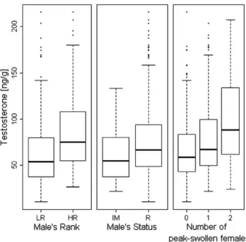 Fig. 2. Boxplots of fecal testosterone concentrations: by male rank—LR: low-ranking male (158 samples) and HR: alpha and other very high-ranking males (200 samples), by male residency status—IM: immigrant males (31 samples); R: resident males (327 samples)