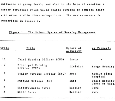 Figure 1. The Salmon System of Nursing Management 
