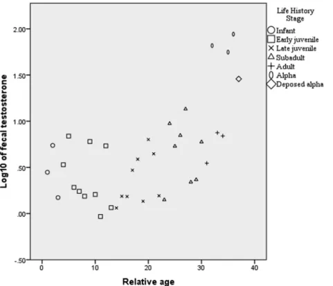 Fig. 2. Mean male fecal testosterone level (fT) in relation life history stage and relative male age (with age rank 1 = youngest male [6 months], and age rank 37 = oldest male [estimated at 18 years]).