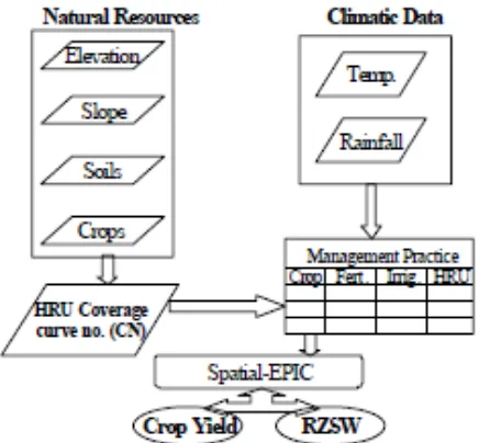 Fig. 2: A diagram to illustrate the interaction between soil-plant-atmosphere as accounted in the SALUS model (www.salusmodel.net)  