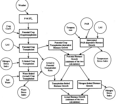 Fig. 4: Flow chart of CropSyst model.