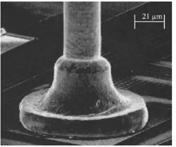 Figure 2.1: Ball bonding formation (Murali et al., 2003). 