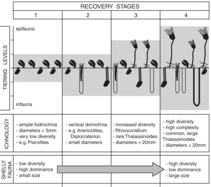 Fig. 3. Four stage palaeoecological model for recovery of benthic marine ecosystems in the aftermath of biotic crises, based on empirical observations of the fossil record of Permian–Triassic shallow shelf settings (see also Twitchett et al., 2004)