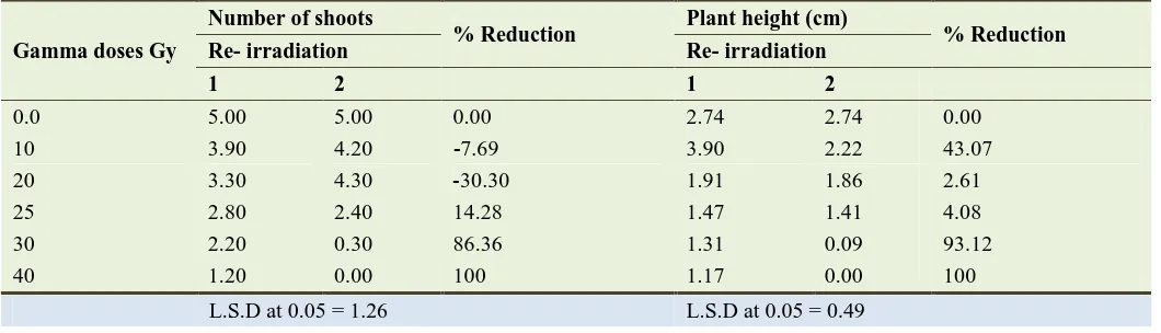 Table 3. Effects of Re- irradiation on number and plant height of stem cuttings after 30 days