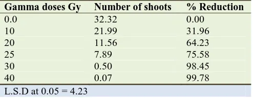 Table 5. Effect of direct irradiation for one time on the number of shoots of leaf segments after 30 days