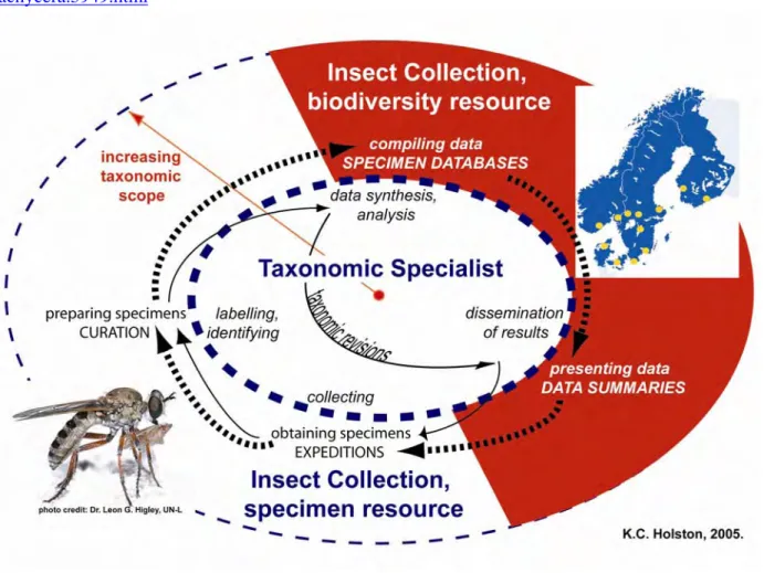 Fig. 1: Comparing the current “specimen acquisition to specimen curation” cycle (narrow solid  arrows) of collections-based research to the ideal “specimen to biodiversity data” cycle (wide broken  arrows)