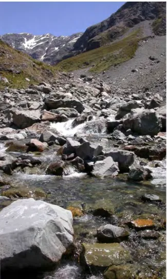 Figure 3. Upper Otira River, Arthurs Pass,  South Island. A typical high altitude stable  river.