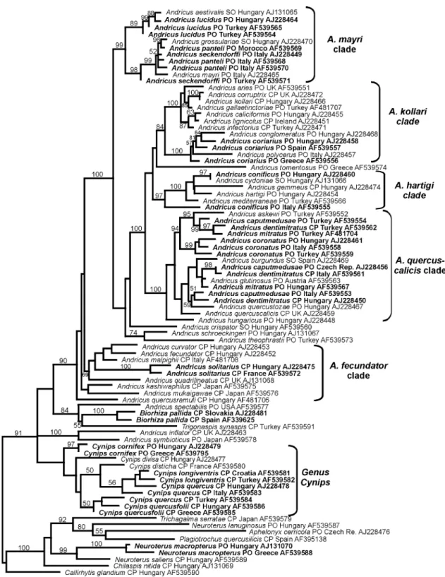 Fig. 2. Fifty percent majority-rule consensus phylogram from the Bayesian analysis. The tree is mid-point rooted