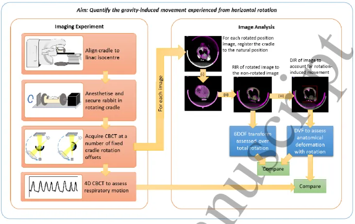 Figure 1 – Study design overview. The cradle in the zero offset (non-rotated) position