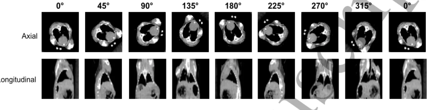 Figure 3 – An example of the CBCT acquired at each cradle rotation offset for a full revolution of rabbit 1
