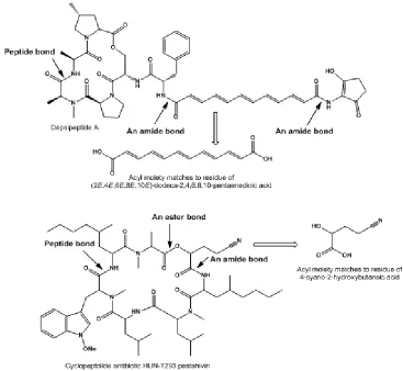 Fig. 2: Branched, saturated and unsaturated fatty acids. OO