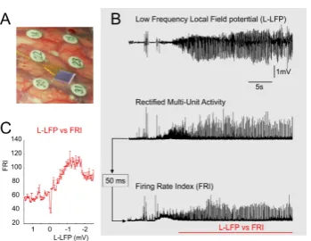 Figure 1.1: Experimental recordings