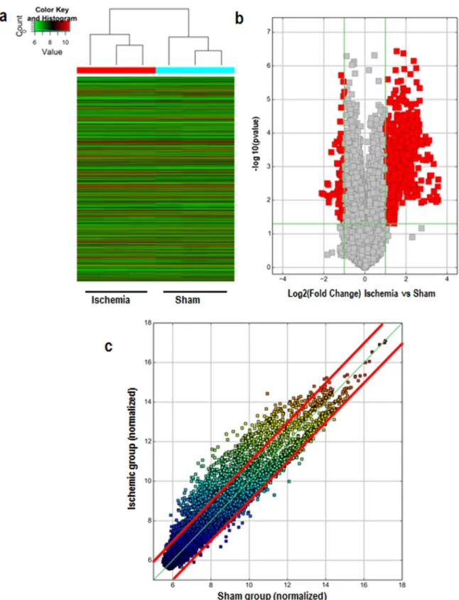 Figure 1: Differences in circRNA expression profiles between the ischemic and sham groups