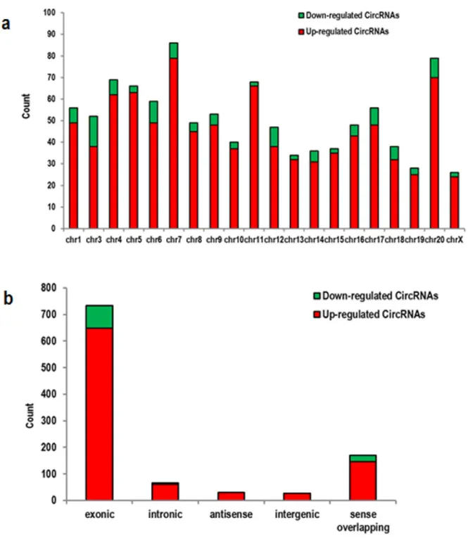 Figure 2: Characterizations in circRNA expression profiles between the ischemic and sham groups