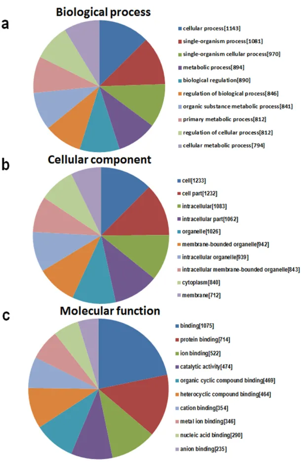 Figure 6: The GO annotations for target genes mediated by the miRNAs potentially regulated by mmu_circRNA_40001,  mmu_circRNA_013120, and mmu_circRNA_40806