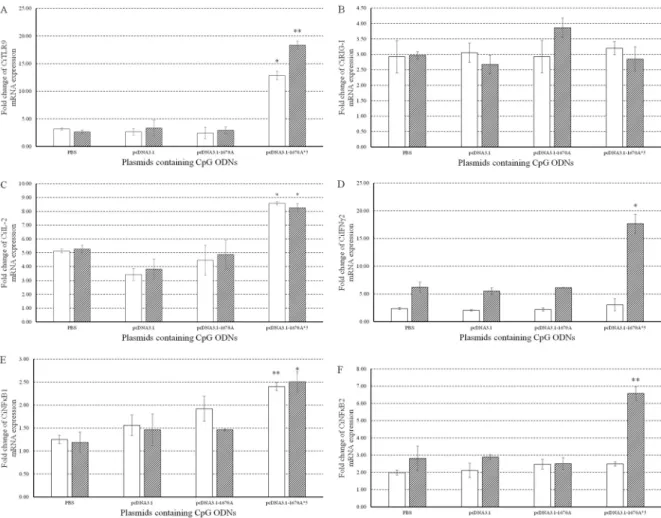 Figure 3: Immune responses to plasmids containing CpG ODNs in CIK cells.  The  mRNA  expressions  of  CiTLR9  (A),  CiRIG-I (B), CiIL-2 (C), CiIFNγ2 (D), CiNFκB1 (E) and CiNFκB2 (F) were measured at 0, 24 and 48 h post-infection