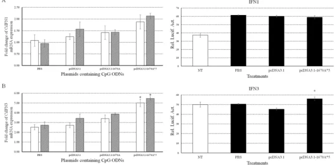 Figure 4: Immune responses of CiIFN1/3 to plasmids containing CpG ODNs.  Left, the mRNA expressions of CiIFN1 (A)  and CiIFN3 (B) were measured at 24 and 48 h post-infection