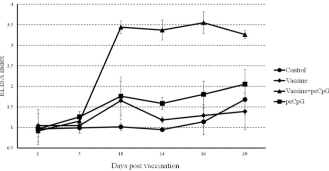 Figure 6: Serum IgM detection by ELISA.  Sera were collected at different days post immunization or GCRV infection from the  fish vaccinated with PBS (control), vaccine, vaccine-pcCpG or pcCpG at D0, D1, D5, D10, D14, D16 and D20