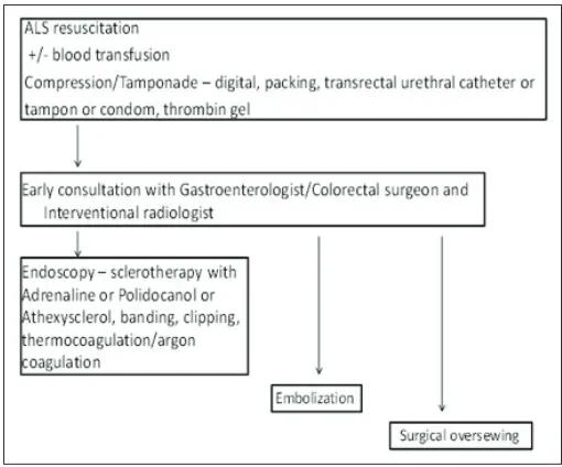 Fig. 4. Proposed hierarchical treatment algorithm for the management of post-transrectal ultrasound (TRUS) biopsy rectal bleeding.