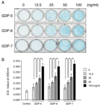 Figure 3. The gene expression profile of chondrogenic differentiation marker promoted by each GDFs