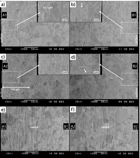 Fig. 2 SEM images of the cross-sections obtained from the samples after 30 min of SMAT and 