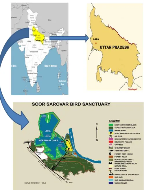 Fig. 1: Map of Soor Sarovar Bird Sanctuary. 