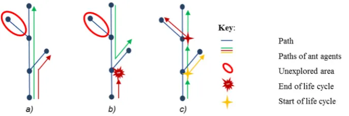 Figure 4. Example of possible decisions at the node: a) decision-making takes place at random, b) decision-making takes place through pheromones left by the same colony, c) cloning ant-agents at each node