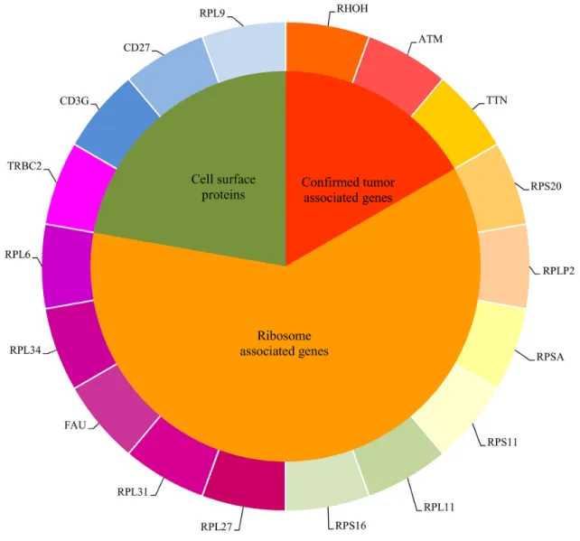 Figure 5: The eighteen important genes found in the MaxRel feature list were clustered into three groups.