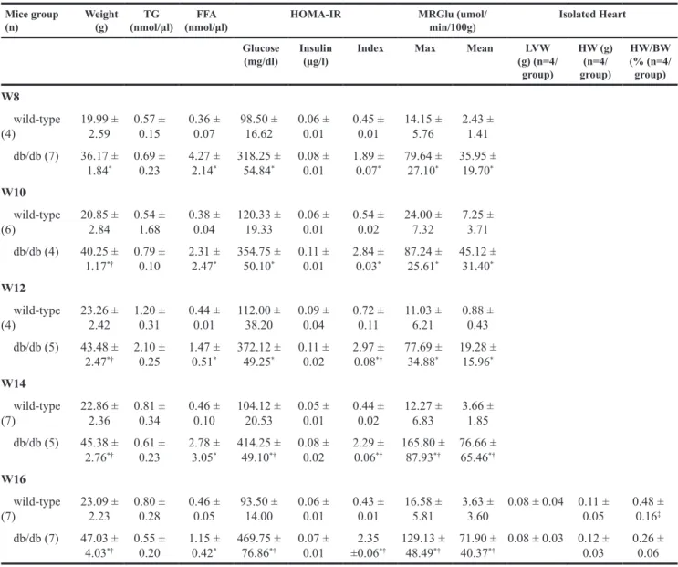 Table 1: Clinical characteristics, plasma substrate levels, HOMA-IR index and estimated metabolic glucose  utilization using FDG PET of wild type and db/db animal models