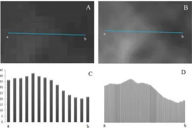 Figure 5. The relationship between interpolated GDEM and elevation points obtained from accurate topographic map