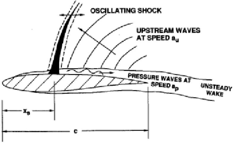 Figure 1: Schematic diagram of shock oscillations 8   