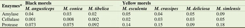 Table 2. Quantitative screening of extracellular enzymes from vegetative mycelium of Morchella spp