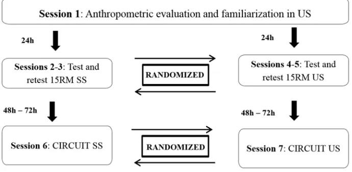 Figure 1. A summary of the study. 
