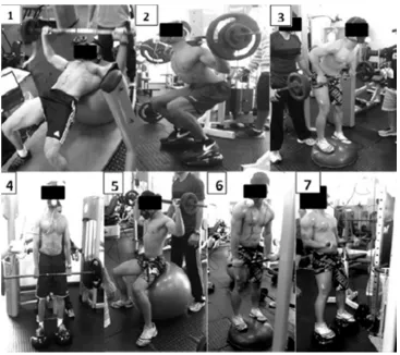 Figure 2. Sequence of resistance exercises in the circuit weight training on unstable surfaces