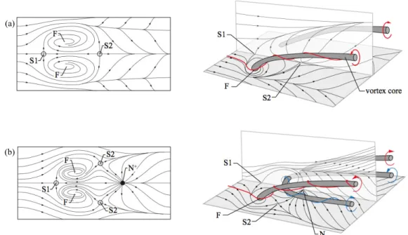 Figure 3. Three-dimensional flow fields associated with flow separations described by Perry &amp;