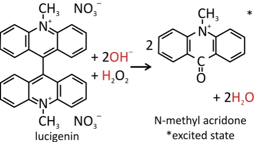 Figure 2.2: Reaction mechanism for the chemiluminescence of lucigenin.