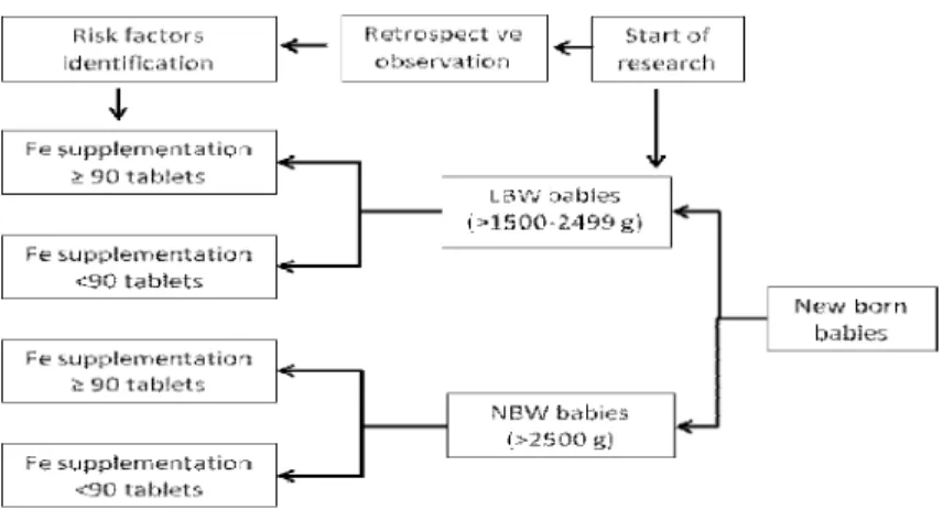 FIGURE 1. The scheme of the research procedure