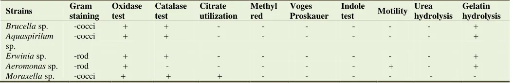 Table 1. Biochemical tests for bacterial isolates. 