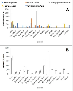 Fig. 3:  Frequency of the different visitors to each orchid species studied. A = number of visits by each visitor with respect to species; B = mean number of visits per visitor irrespective of orchid species