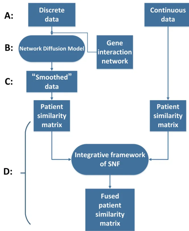 Figure 1: The flow chart of ndmaSNF. (A) Dividing data into two main categories. (B) Pre-process for data types with discrete value 