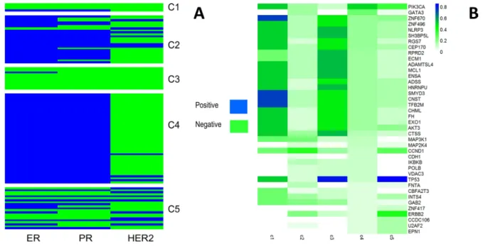 Figure 3:  (A) Clinical features with ER/PR/HER2 per subtype. (B) Comparison of the mutation frequencies among the identified subtypes.