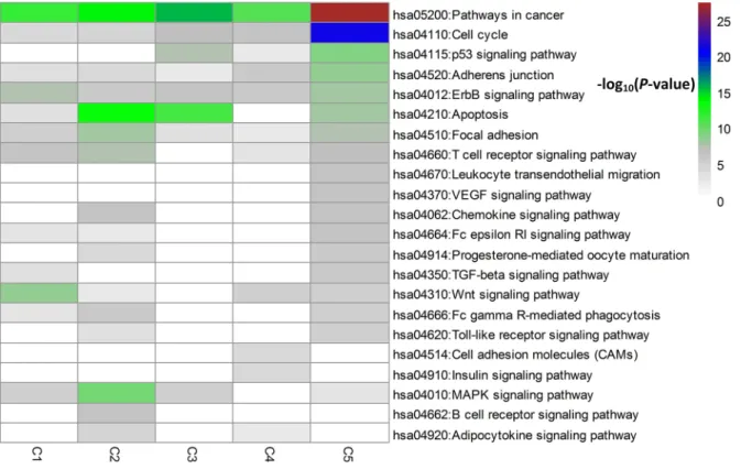 Figure 4: Pathway enrichment analysis for the top 60 driver genes per subtype.