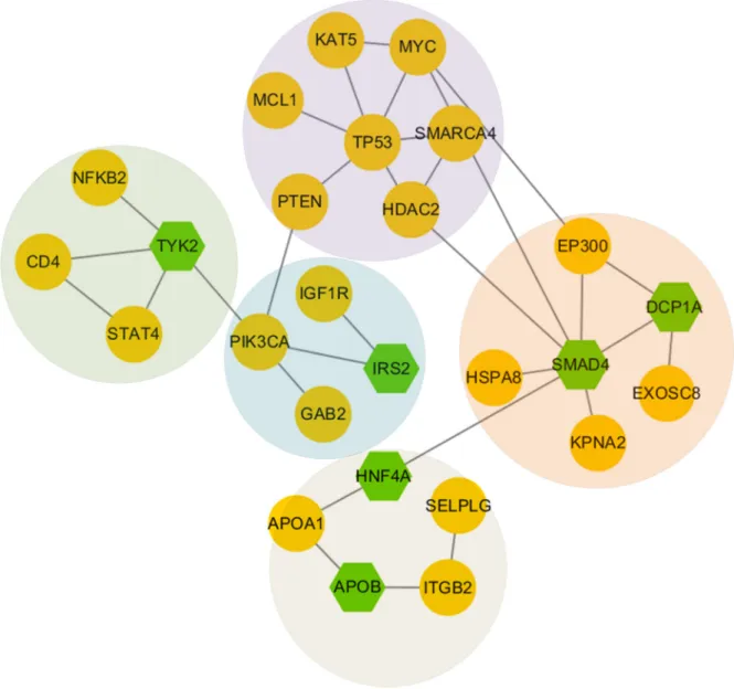 Figure 5: Network modules discovered in subtype 1.  The green nodes represent genes we input, and the yellow nodes represent  linker genes connecting those genes we input.
