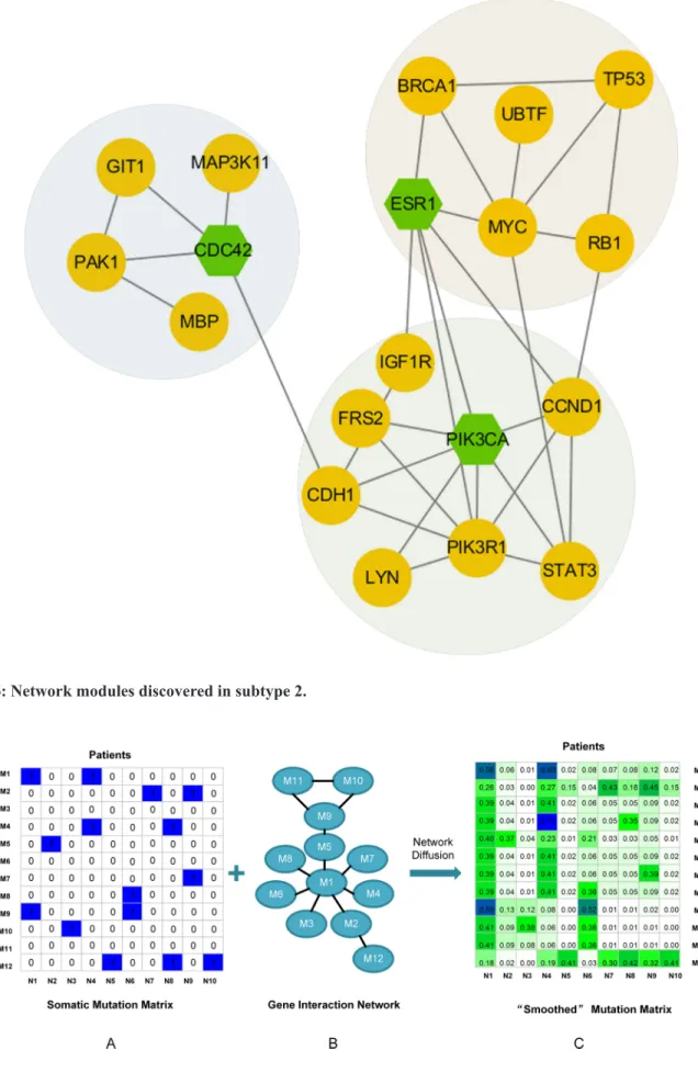 Figure 6: Network modules discovered in subtype 2.