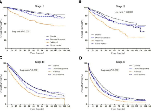 Figure 3: Kaplan-Meier curves of the effect of marital status on OS for all patients stratified by stage.