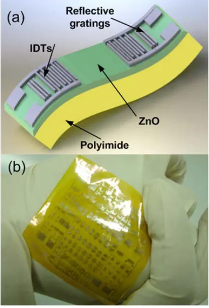 Fig. 1.    A 3D schematic drawing of the flexible SAW device (a), and a photo of  the fabricated flexible SAW devices on a polyimide film (b), which has many 